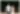 Placeholder blur